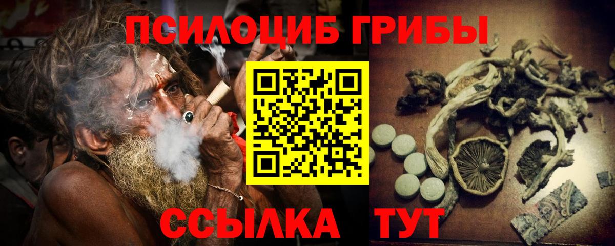 Псилоцибиновые грибы мицелий  Вход с VPN  Галлюциногенные грибы Cubensis  Сочи 
