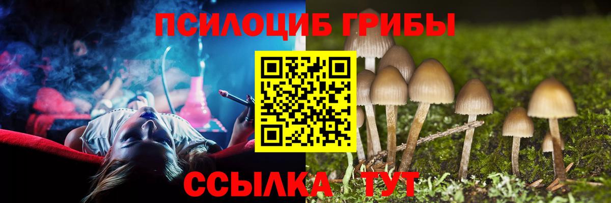 Галлюциногенные грибы MAGIC MUSHROOMS Сочи